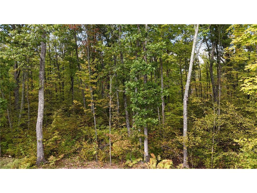 57919 Hay Creek Road Sandstone MN 55072 7042114 image41