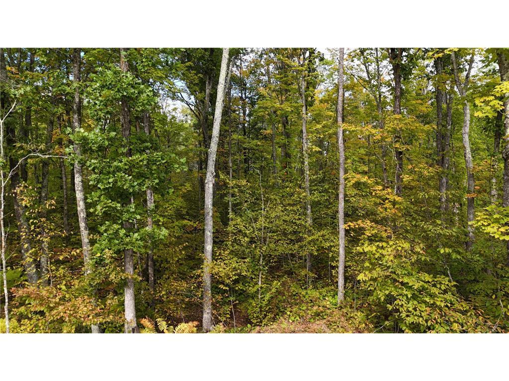 57919 Hay Creek Road Sandstone MN 55072 7042114 image42