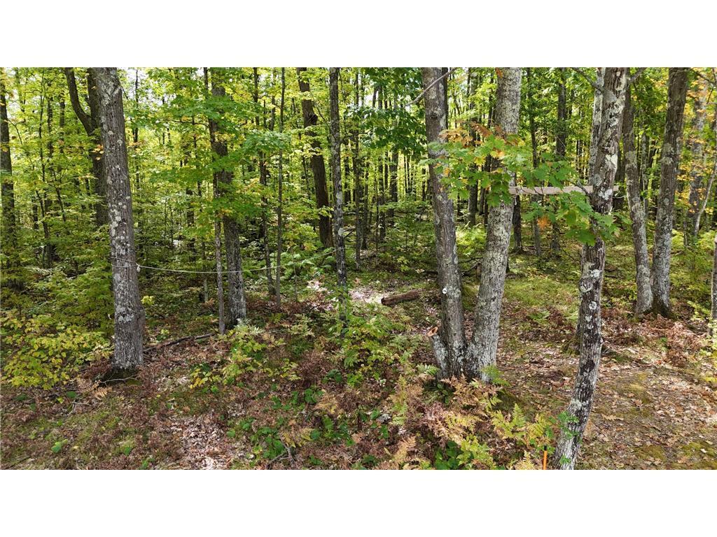 57919 Hay Creek Road Sandstone MN 55072 7042114 image45