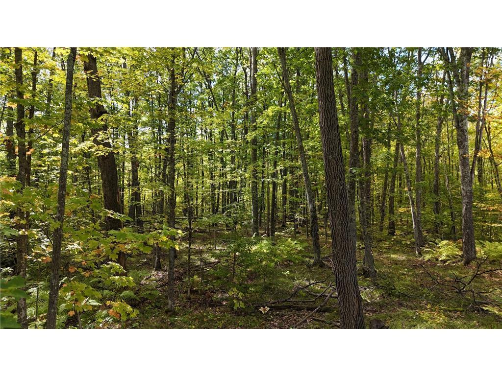 57919 Hay Creek Road Sandstone MN 55072 7042114 image46