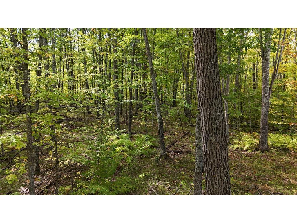 57919 Hay Creek Road Sandstone MN 55072 7042114 image47