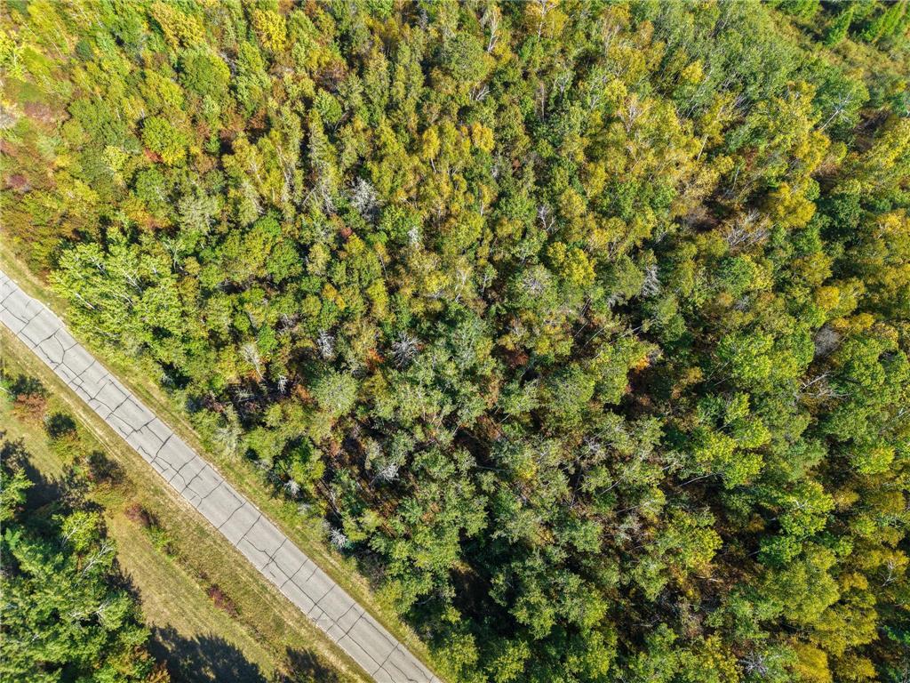 58.11 AC 164th Street NW Pike Bay Twp MN 56633 - Cass Lake 6684599 image27