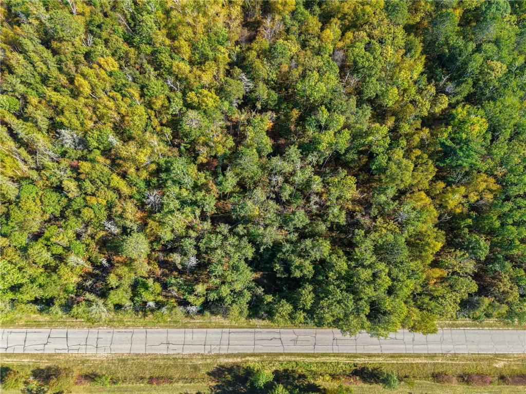 58.11 AC 164th Street NW Pike Bay Twp MN 56633 - Cass Lake 6684599 image28