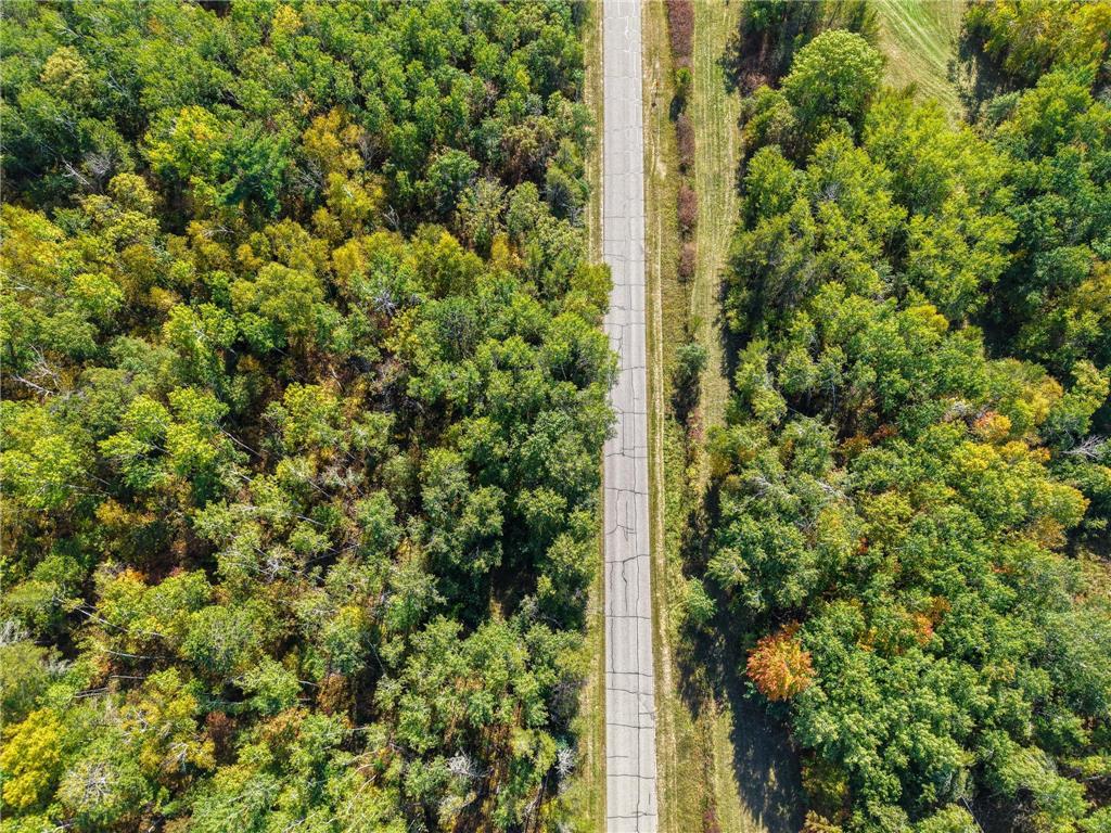 58.11 AC 164th Street NW Pike Bay Twp MN 56633 - Cass Lake 6684599 image30