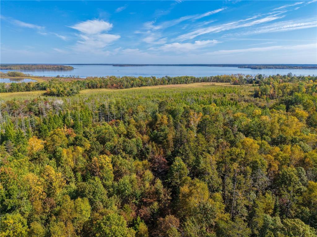 58.11 AC 164th Street NW Pike Bay Twp MN 56633 - Cass Lake 6684599 image8