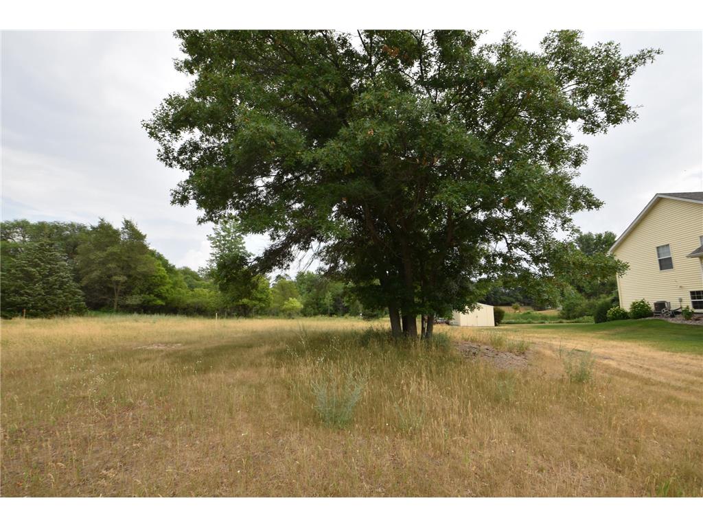 580 WOODDUCK Trail Lino Lakes MN 55014 6744781 image1