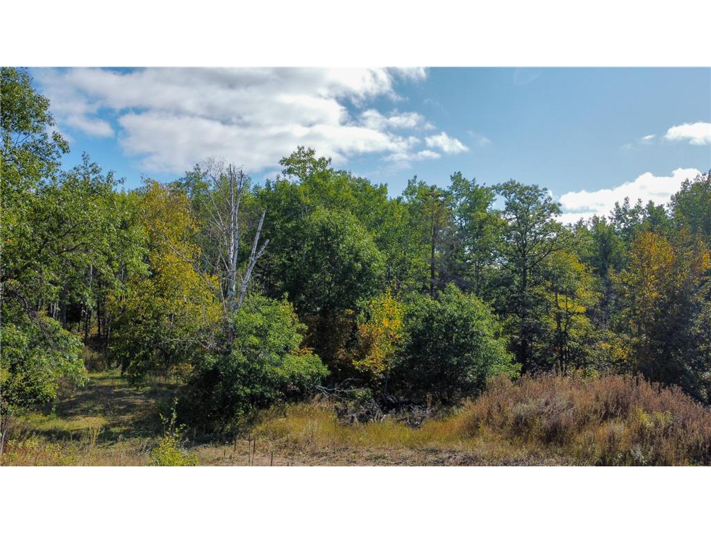 580 Whisperwood Court SW Bemidji MN 56601 6430469 image1