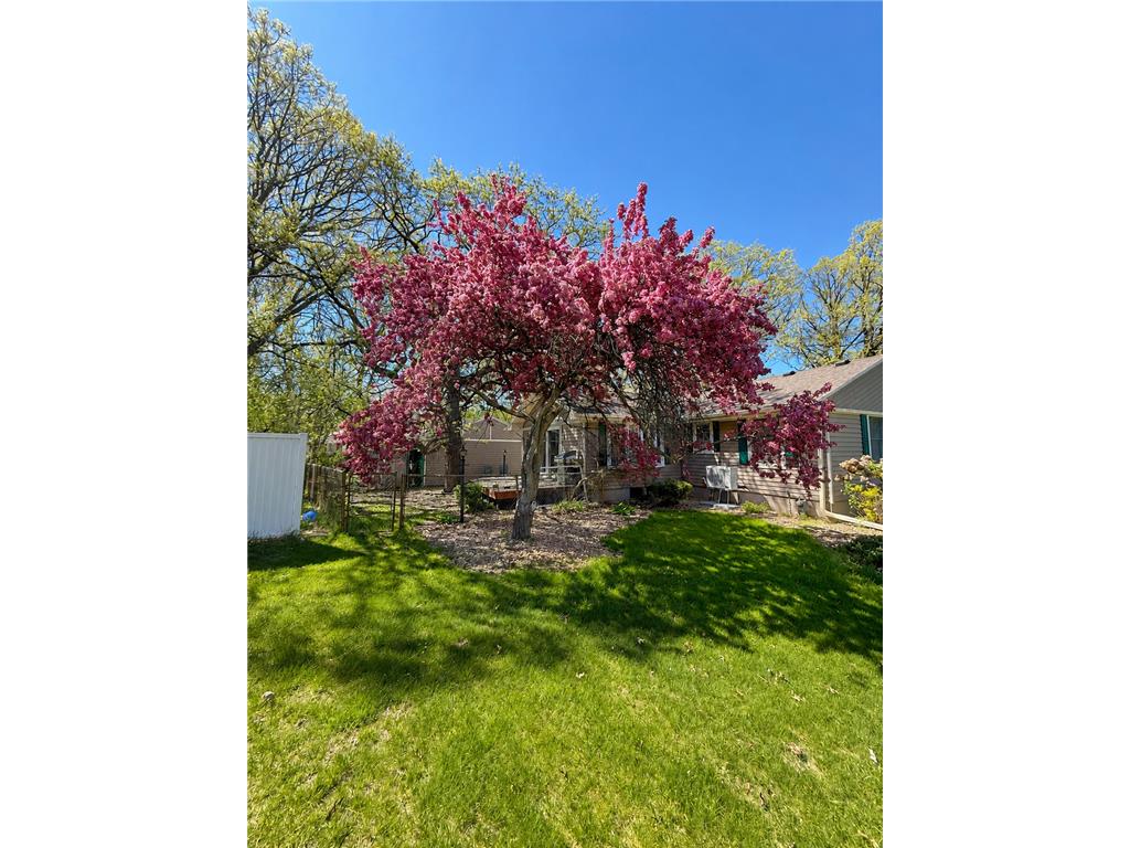 5801 114th Avenue N Champlin MN 55316 7103850 image7