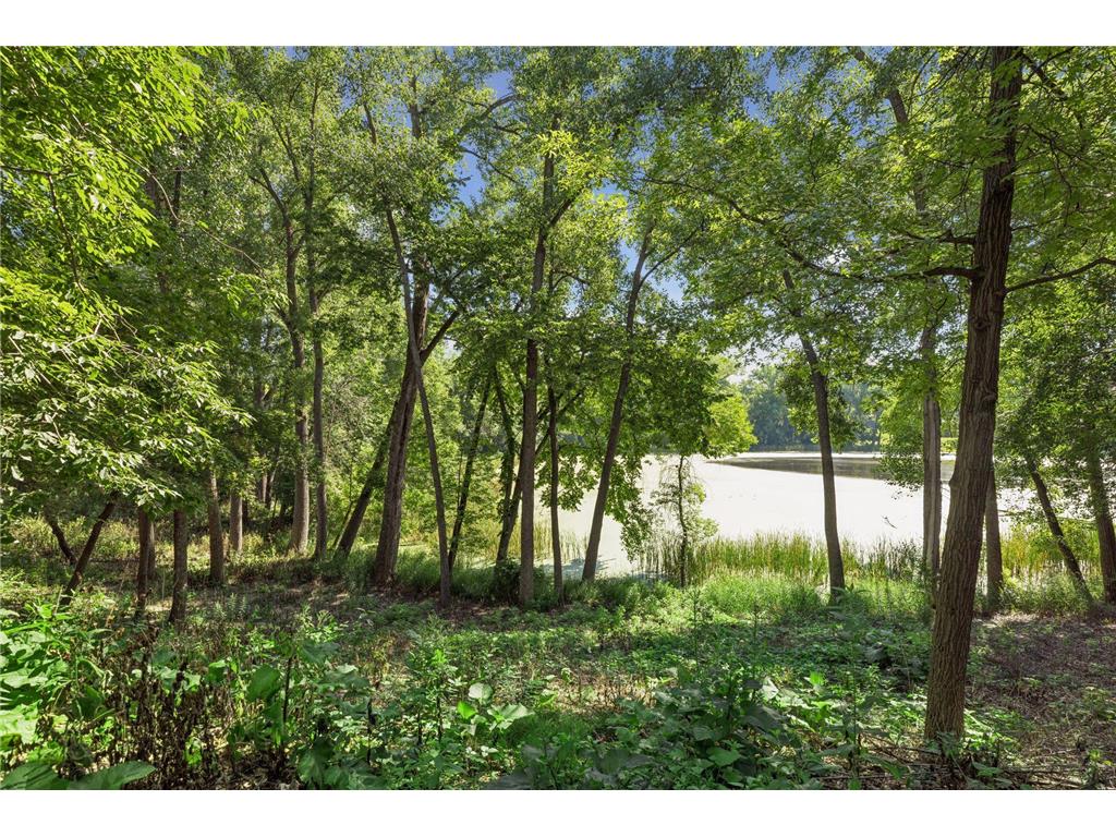 5803 Vernon Lane Edina MN 55436 - Hawkes 7115488 image8