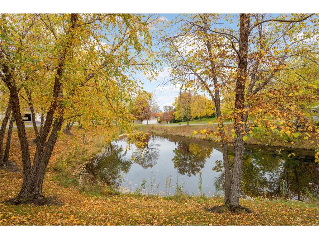 5812 Forestview Lane N Plymouth MN 55442 6818686 image32