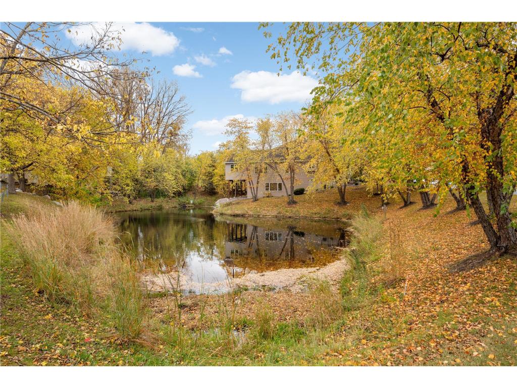 5812 Forestview Lane N Plymouth MN 55442 6818686 image33