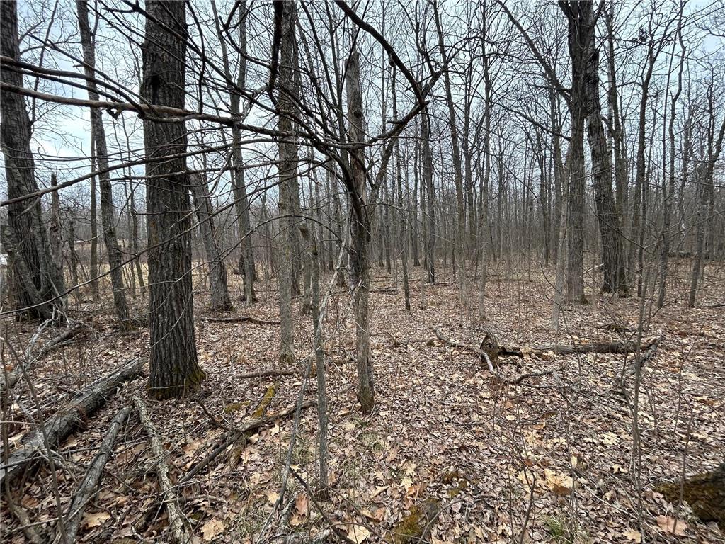 5814 36th Street NW Akeley MN 56433 7043620 image12