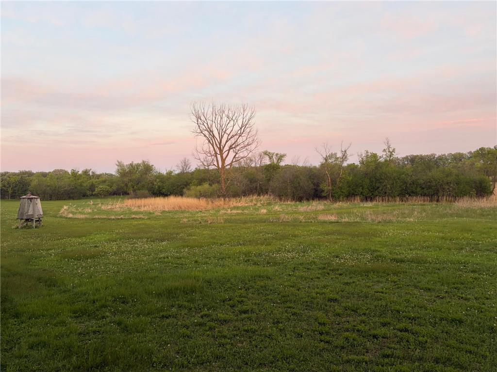 58255 Mn-7 Cedar Mills Twp MN 56228 7077826 image1