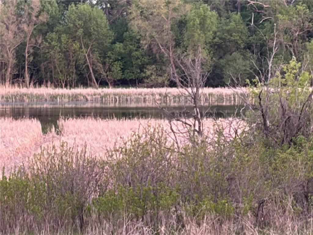 58255 Mn-7 Cedar Mills Twp MN 56228 7077826 image2