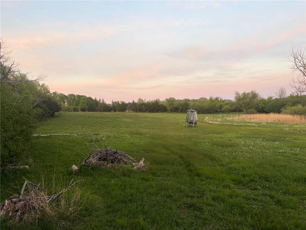 58255 Mn-7 Cedar Mills Twp MN 56228 7077826 image4