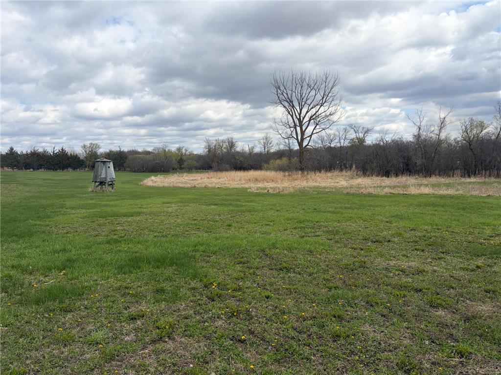 58255 Mn-7 Cedar Mills Twp MN 56228 7077826 image5