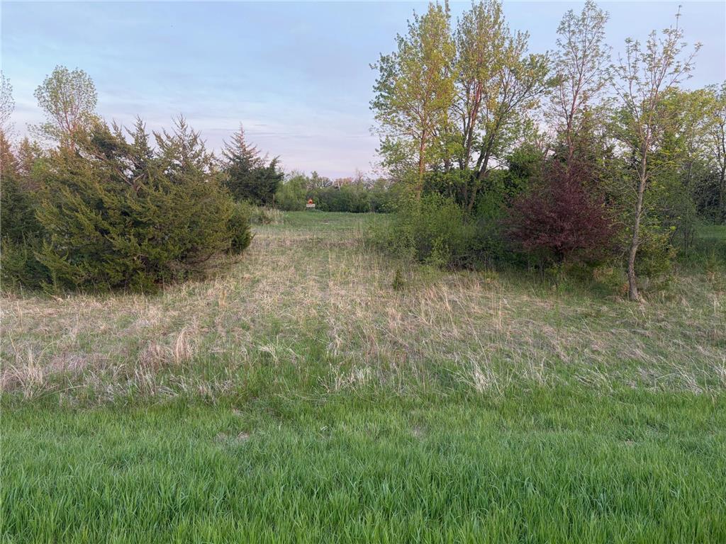 58255 Mn-7 Cedar Mills Twp MN 56228 7077826 image6