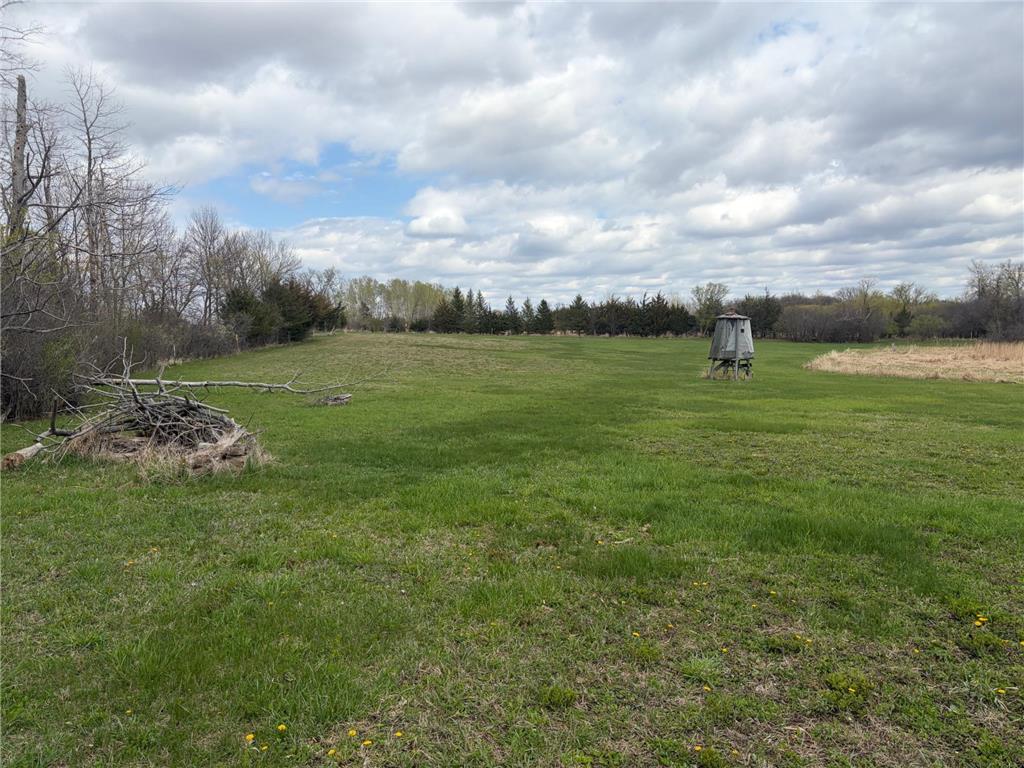 58255 Mn-7 Cedar Mills Twp MN 56228 7077826 image7