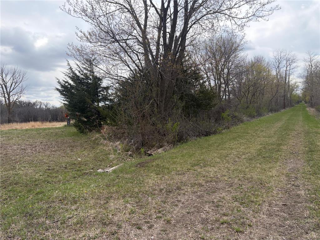 58255 Mn-7 Cedar Mills Twp MN 56228 7077826 image8