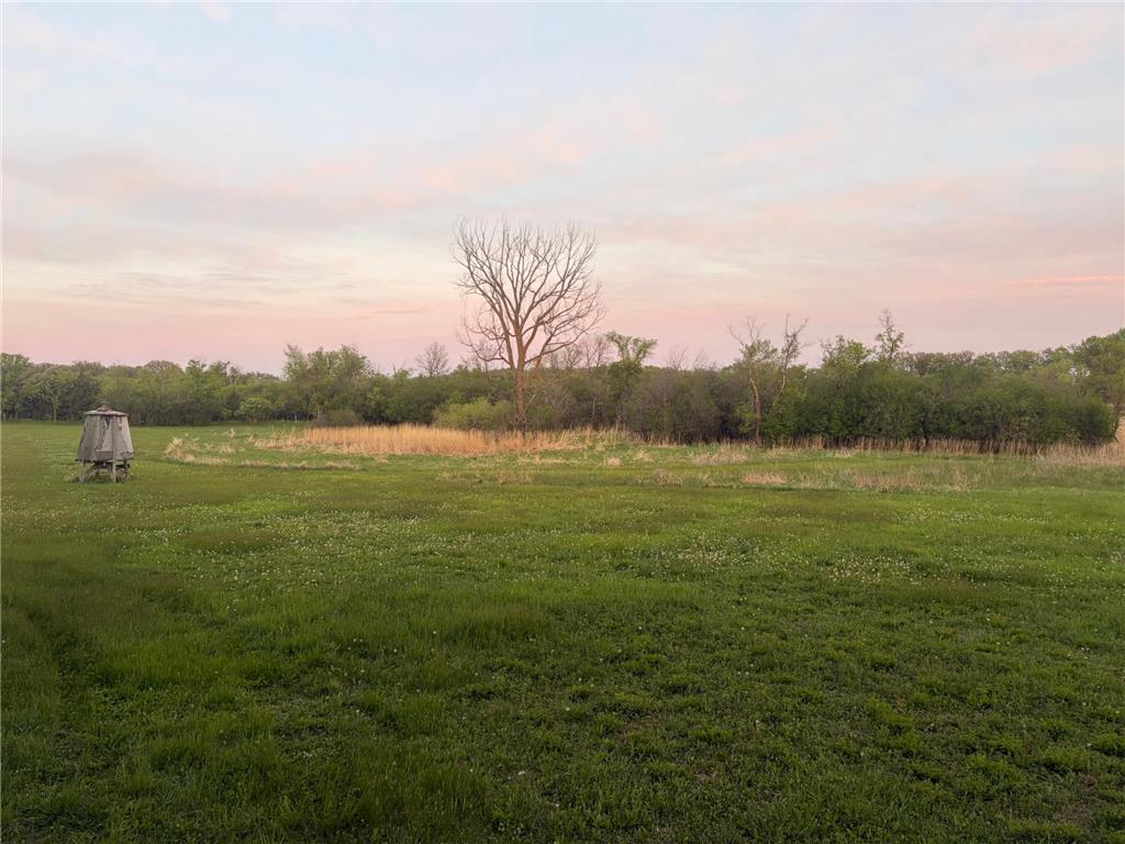 58255 Mn-7 Cedar Mills Twp MN 56228 7077826 image9