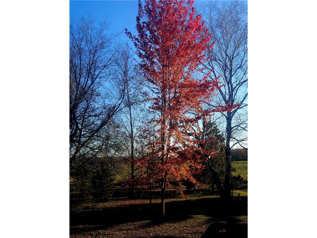 584 21 1/2 Avenue Cumberland WI 54829 6799321 image33