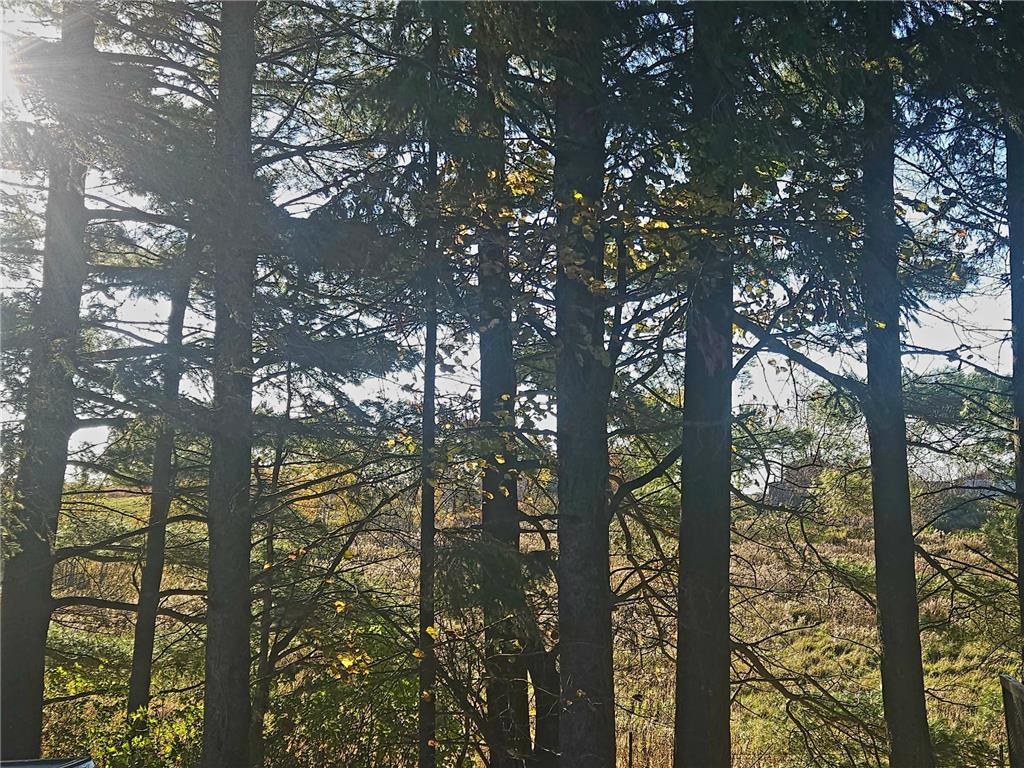 584 21 1/2 Avenue Cumberland WI 54829 6799321 image35