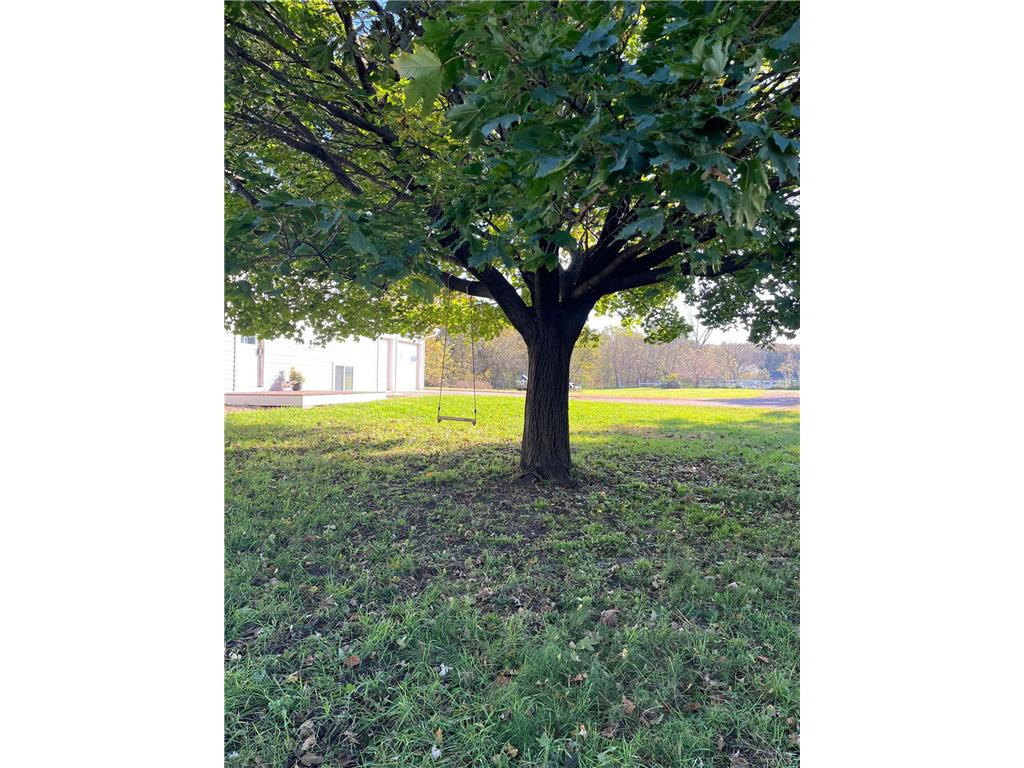 5840 Highway 167 Granite Falls MN 56241 - Minnesota River 6807732 image36