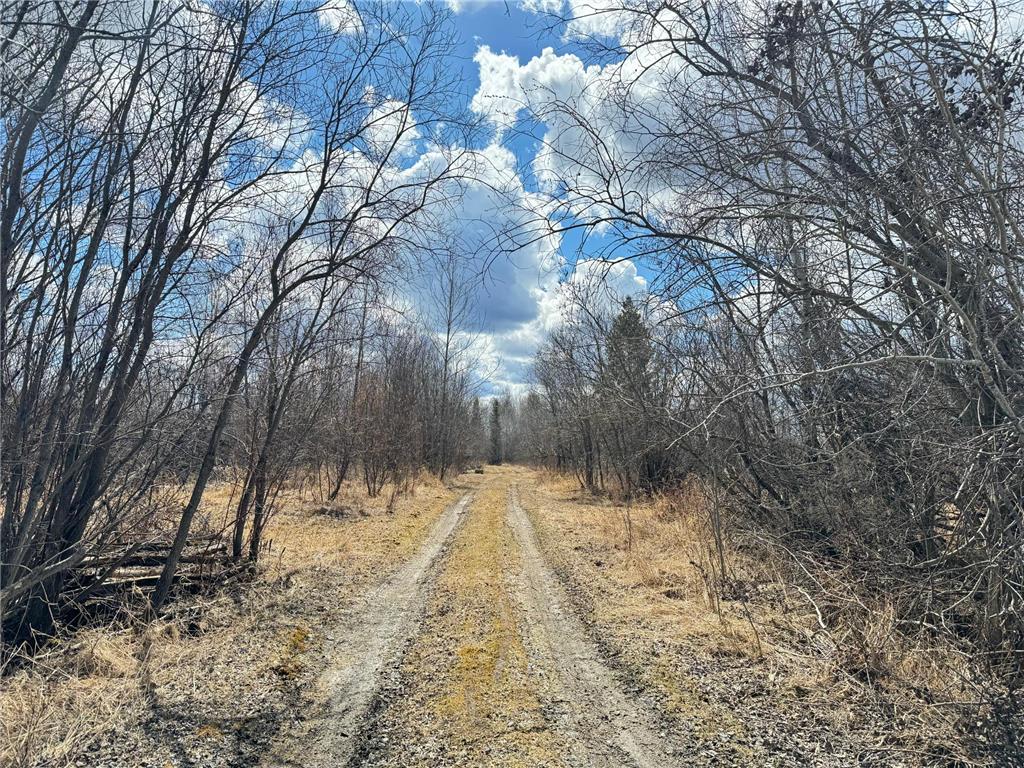 5840 Trigstad Road White Twp MN 55705 6349117 image1