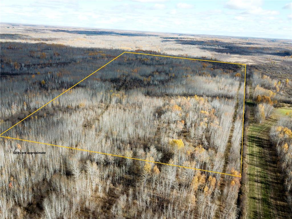 58450 Korstad Road NW Hamre Twp MN 56727 6812559 image1