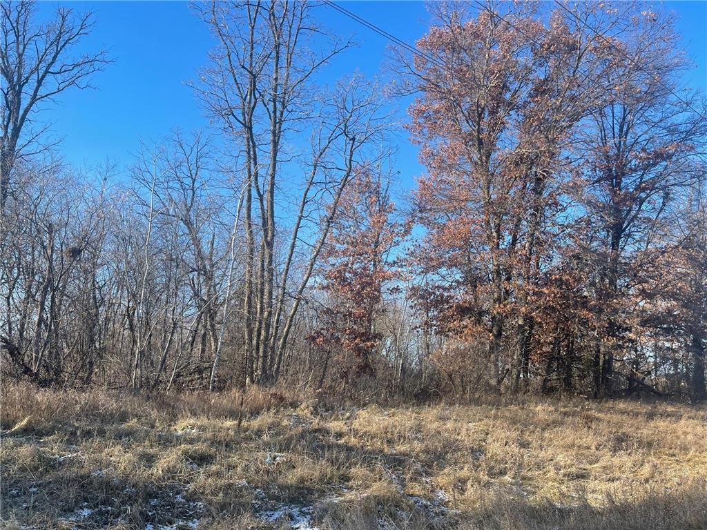 5847 450th Street Harris MN 55032 6639219 image1