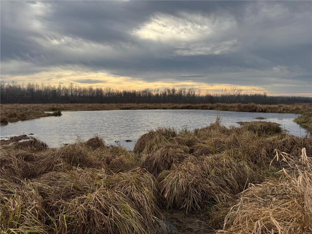 58484 Rutabaga Road Sandstone MN 55072 6632365 image1