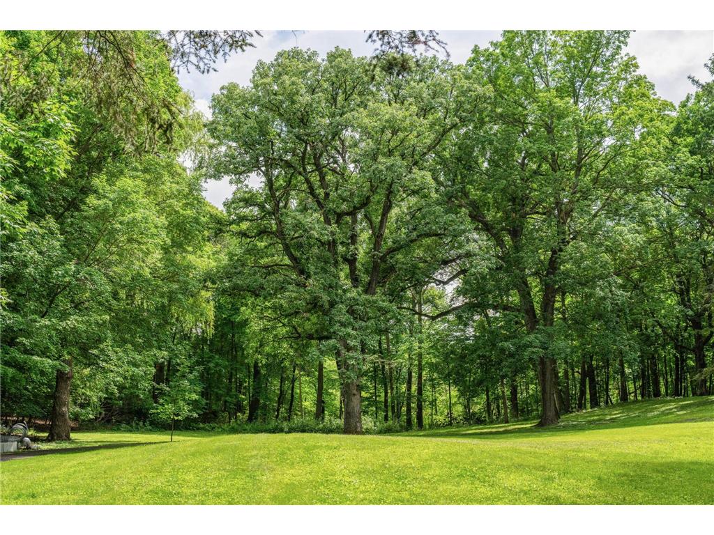 585 Ferndale Road N Orono MN 55391 7089111 image3