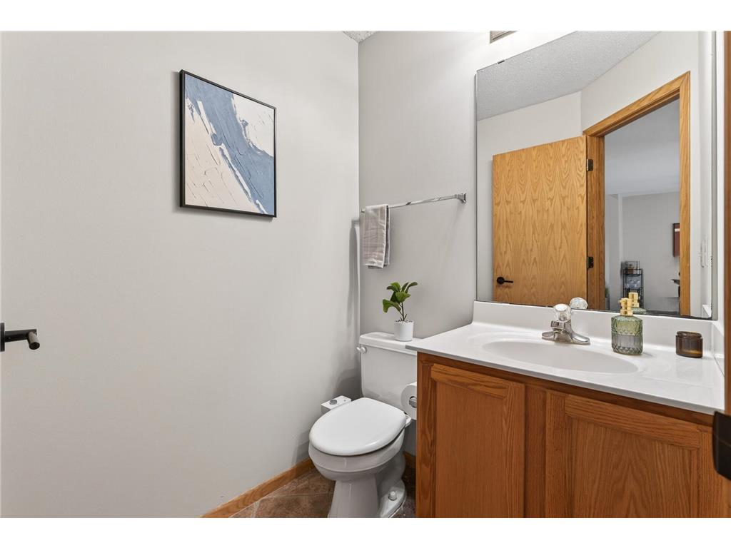 585 Mission Hills Way W Chanhassen MN 55317 7045203 image17