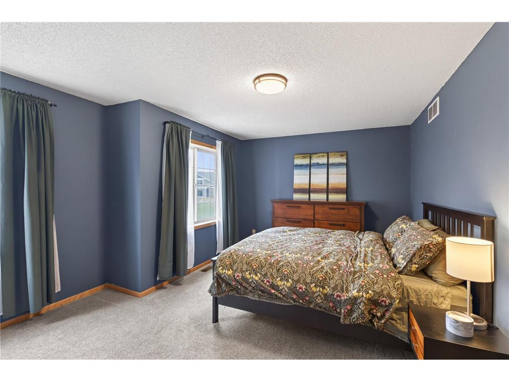 585 Mission Hills Way W Chanhassen MN 55317 7045203 image22