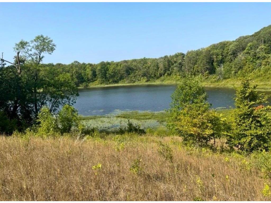 585 W. Lake Street Candor Twp MN 56587 - Little Long Lake 7044938 image1