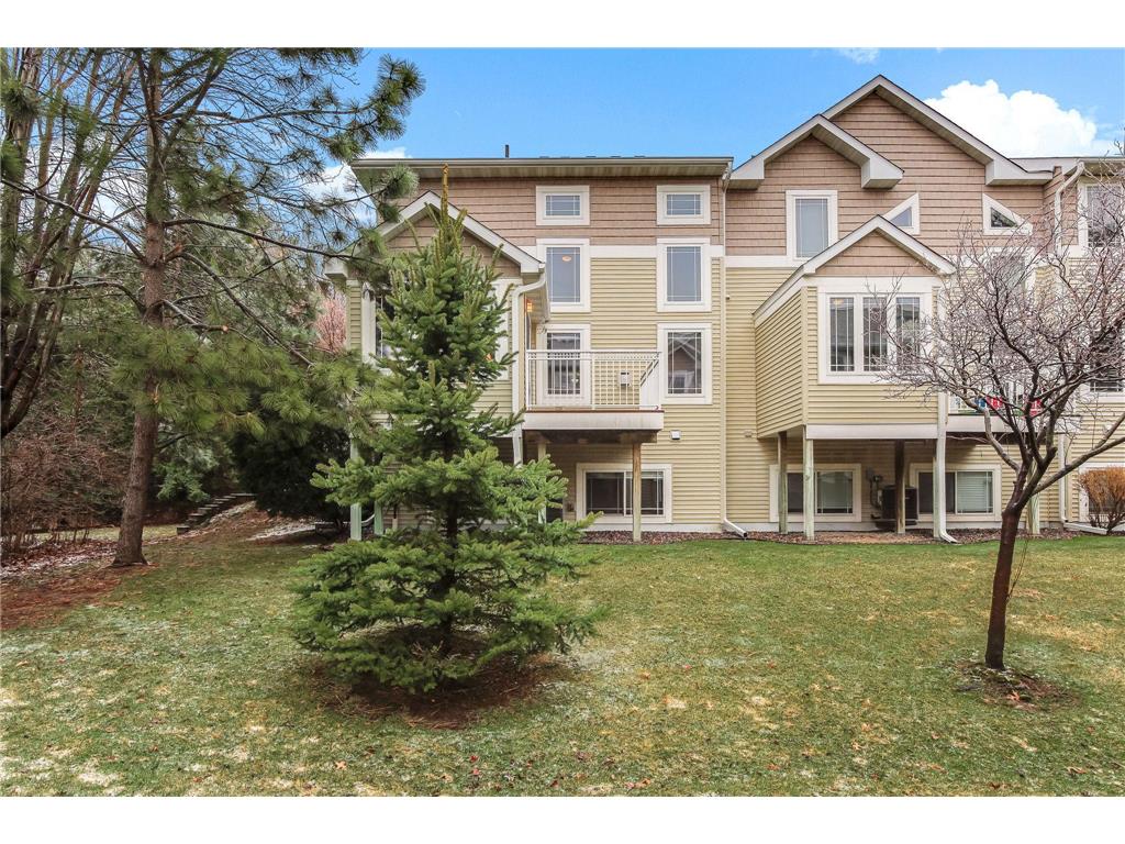 586 Sutherland Drive Woodbury MN 55129 7046807 image38