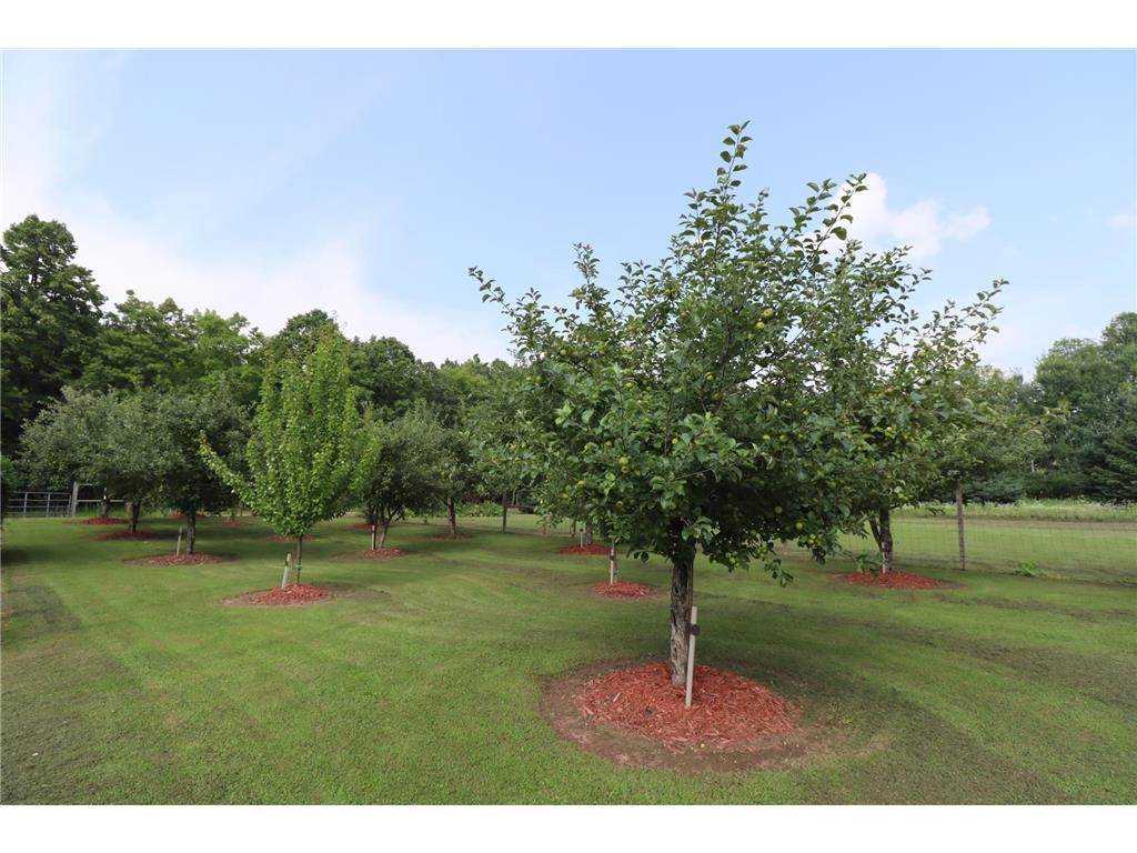 58715 Noid Road Kelly Twp WI 54856 6801988 image91