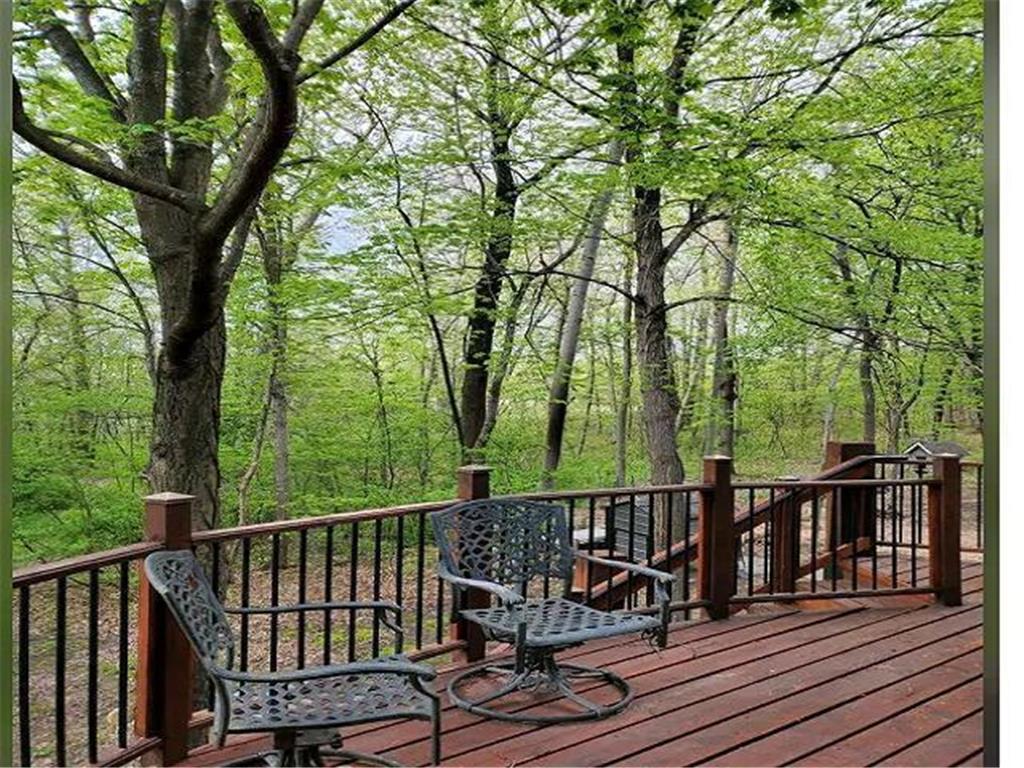 58754 415th Avenue Mazeppa Twp MN 55956 6776943 image3