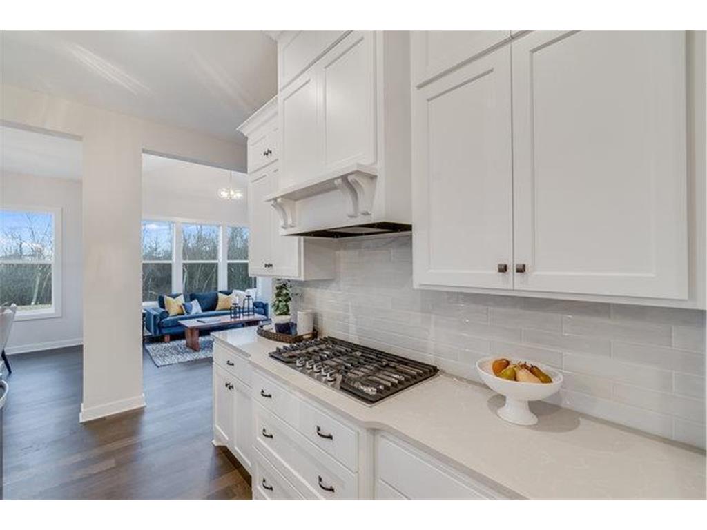 5881 Freeland Alcove N Hugo MN 55038 7011836 image15