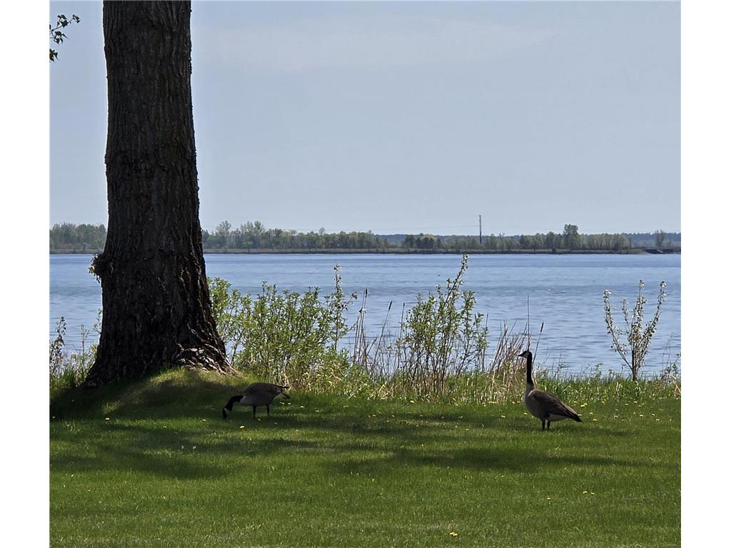 5882 Lakeshore Lane NW Cass Lake MN 56633 - Cass Lake 7083788 image28