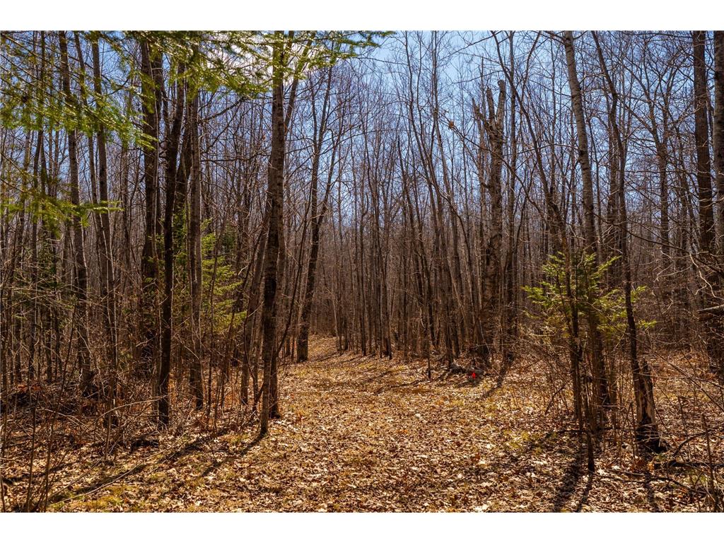 58840 Erickson Road Nickerson Twp MN 55756 7055699 image33