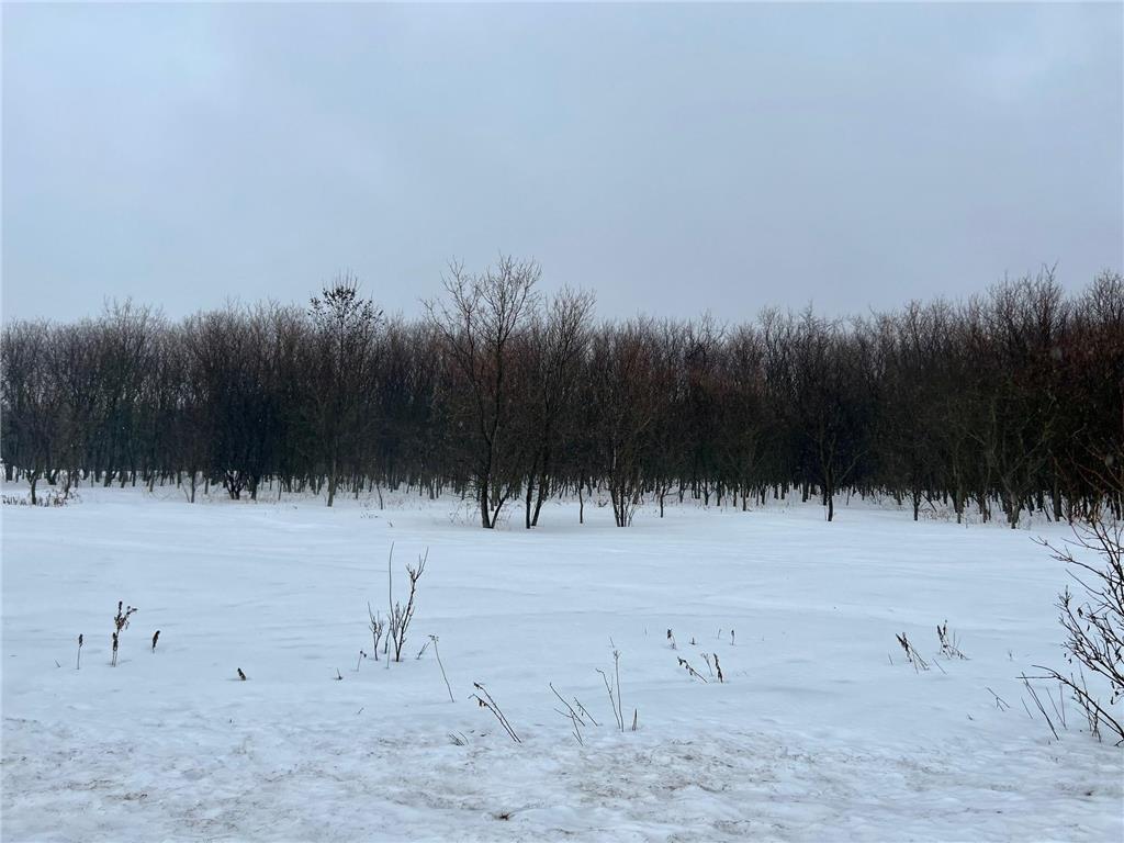 589 132nd Avenue Somerset WI 54025 6343277 image1