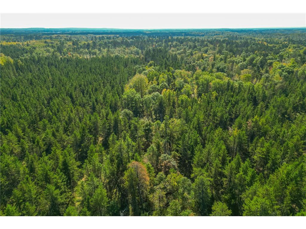 5895 Mapleton Road Baxter MN 56425 6797489 image10