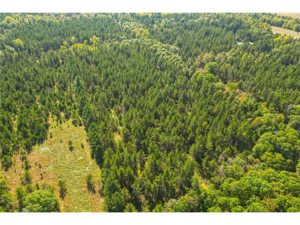 5895 Mapleton Road Baxter MN 56425 6797489 image11