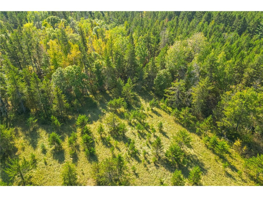 5895 Mapleton Road Baxter MN 56425 6797489 image13