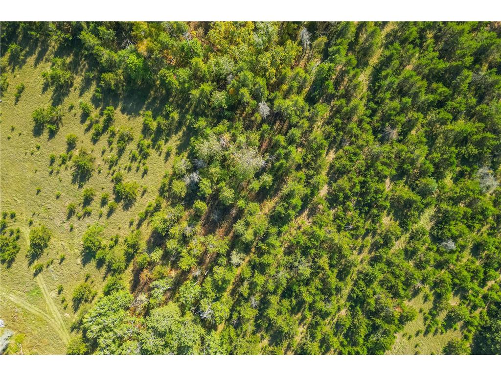 5895 Mapleton Road Baxter MN 56425 6797489 image14