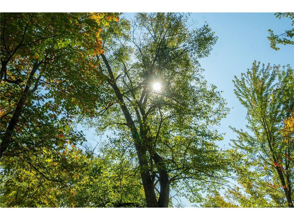 5895 Mapleton Road Baxter MN 56425 6797489 image18