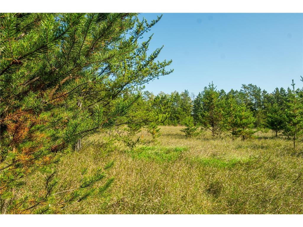 5895 Mapleton Road Baxter MN 56425 6797489 image20