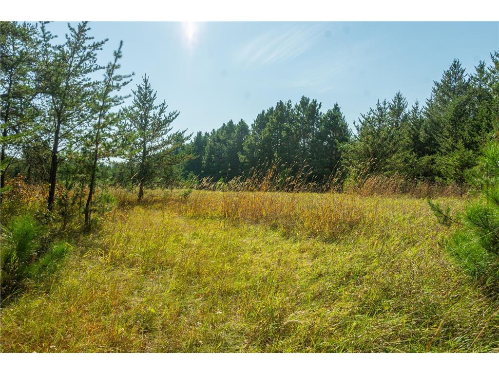 5895 Mapleton Road Baxter MN 56425 6797489 image21