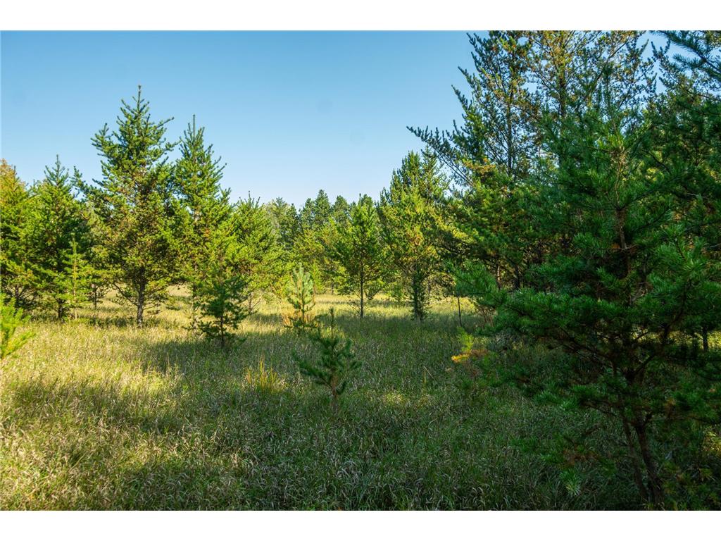 5895 Mapleton Road Baxter MN 56425 6797489 image23